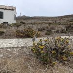 East Anacapa Island Landing Cove