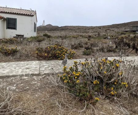East Anacapa Island Landing Cove