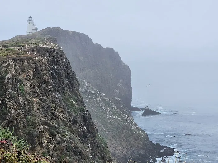 East Anacapa Island Landing Cove Picture 7