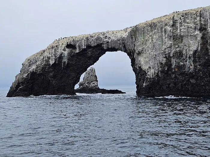 East Anacapa Island Landing Cove Picture 10