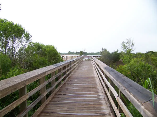 Topsail Sound Campground Picture 1