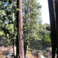 Three Mile Campground ico
