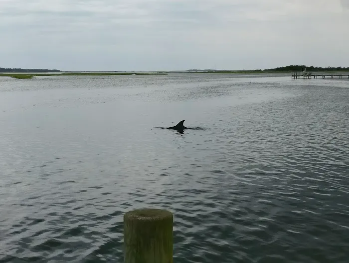 Vacation Village Picture 10