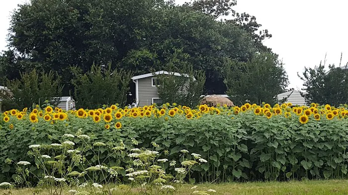 Vacation Village Picture 2