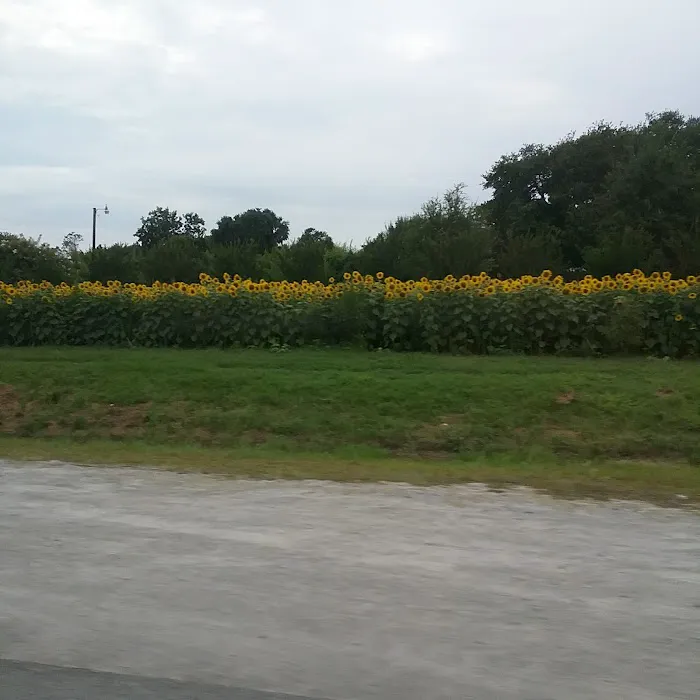 Vacation Village Picture 9