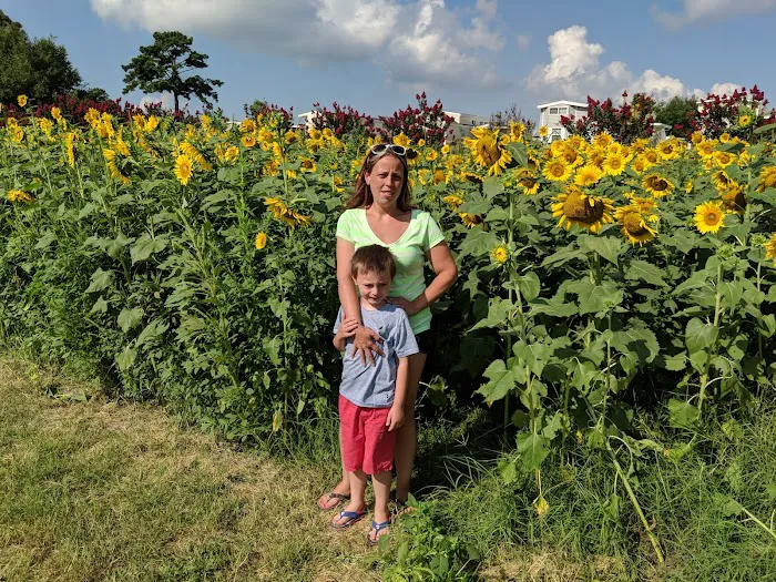 Vacation Village Picture 3