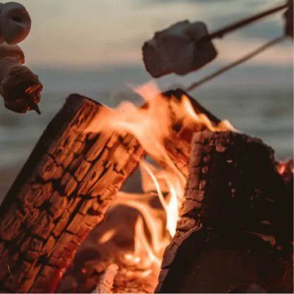 Bogue Sound All Age Manufactured Home Community Picture 2