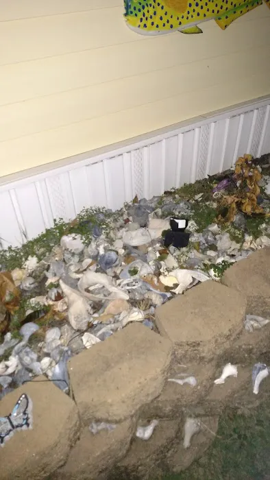 Page Place RV Park Picture 4