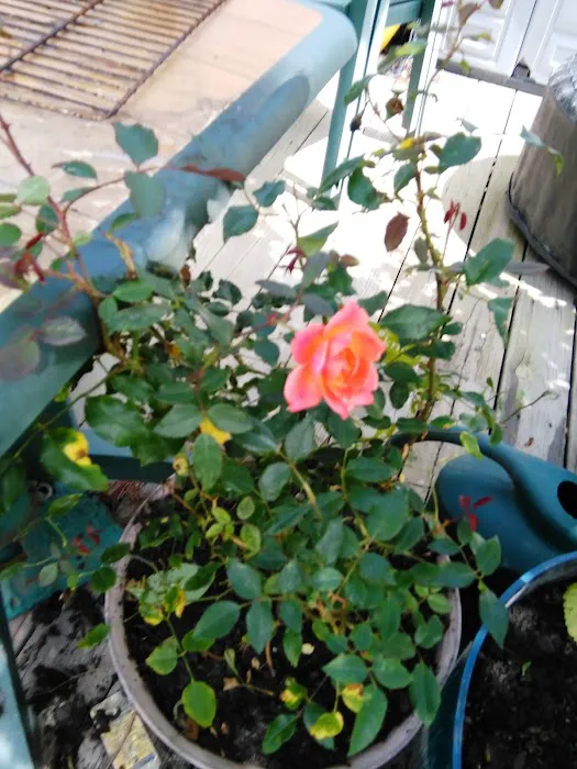 Page Place RV Park Picture 1