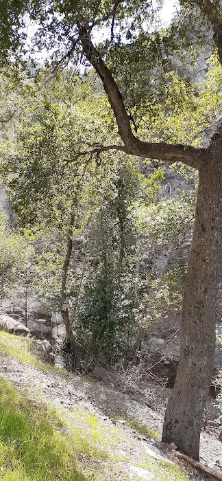 Holiday Group Campground Picture 5