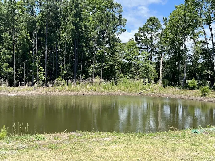 Osprey Landing RV Resort Picture 7