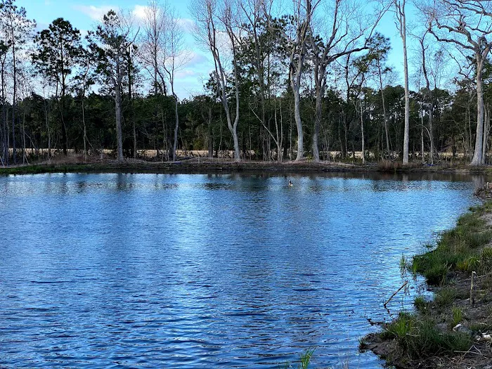 Osprey Landing RV Resort Picture 10