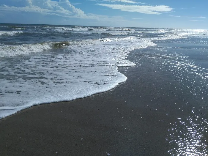 Boardwalk RV Park Picture 7