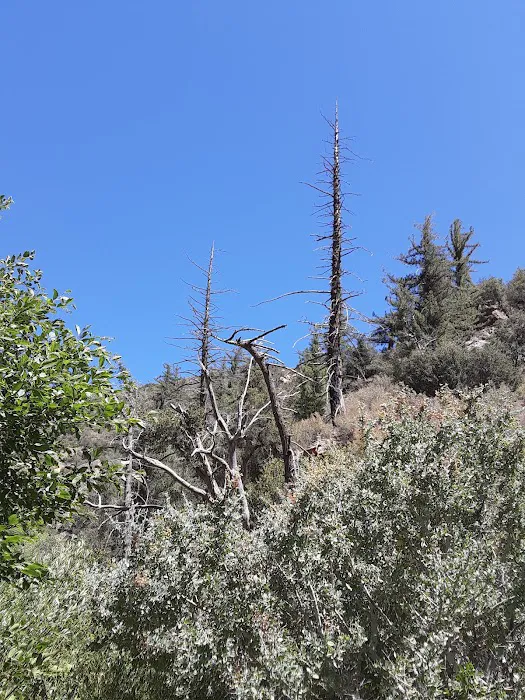 Potrero John Campground Picture 10