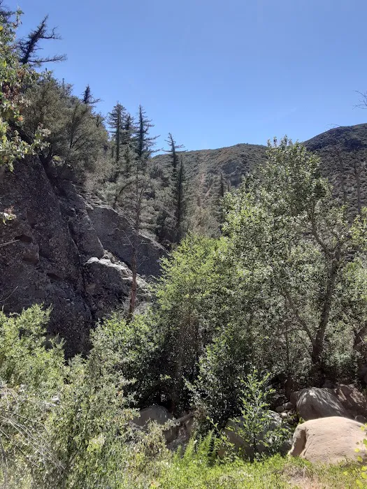 Potrero John Campground Picture 4
