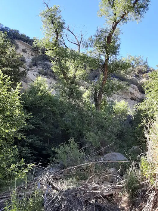Potrero John Campground Picture 7