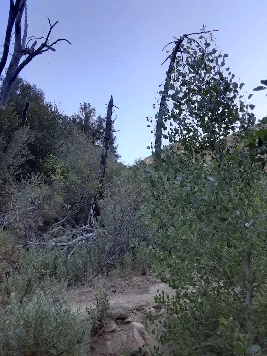 Potrero John Campground Picture 3