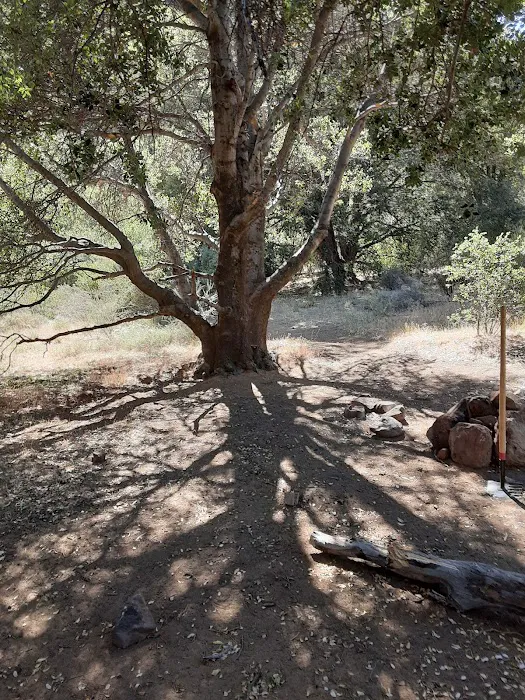 Potrero John Campground Picture 5