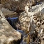 Potrero John Campground