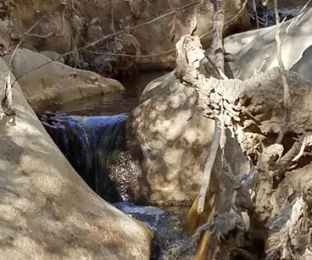 Potrero John Campground