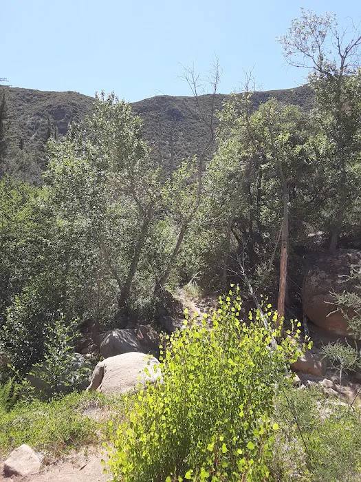 Potrero John Campground Picture 9