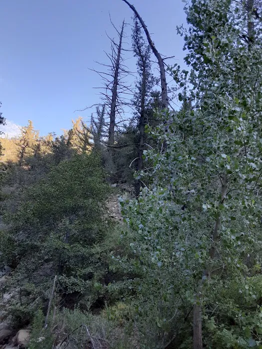 Potrero John Campground Picture 6