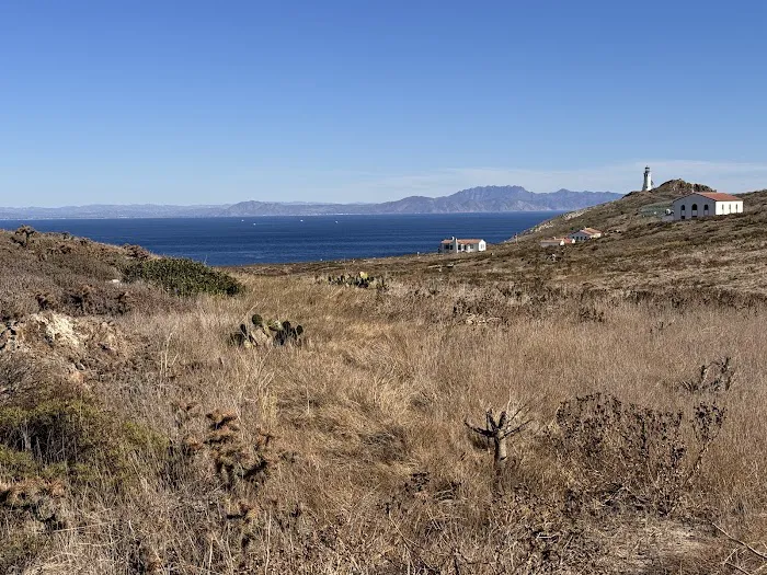 Anacapa Island Campground Picture 10
