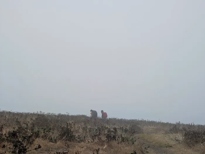 Anacapa Island Campground Picture 4