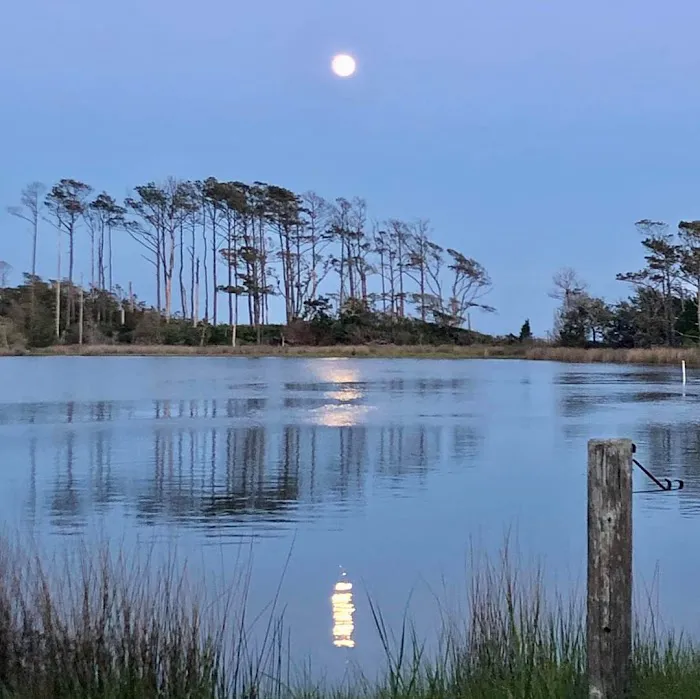 The Landing RV Park Picture 6