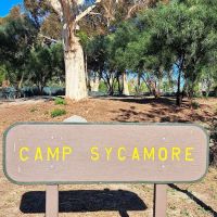 Camp Sycamore ico