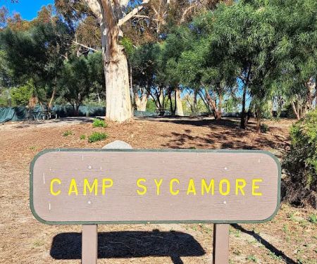 Camp Sycamore