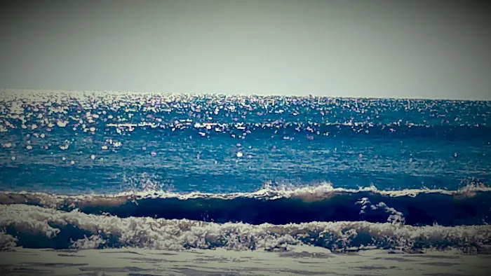 Beachfront RV Park Picture 7