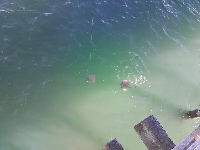 Beachfront RV Park Picture 8