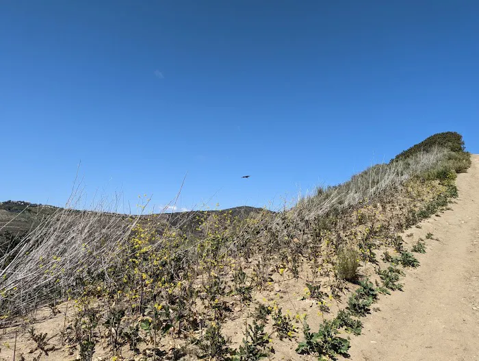 Moro Campground Picture 2