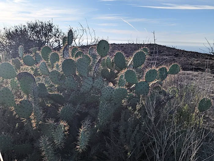 Moro Campground Picture 4