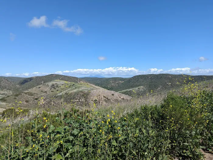 Moro Campground Picture 9