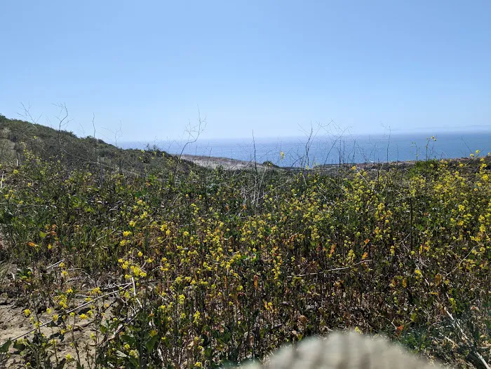 Moro Campground Picture 10