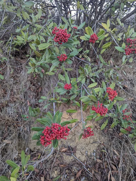 Moro Campground Picture 5