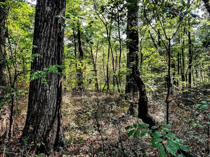 Eaglewood Mobile Home Park Picture 1