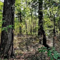 Eaglewood Mobile Home Park ico