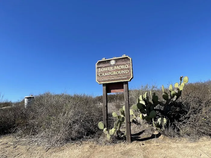 Lower Moro Campground Picture 6