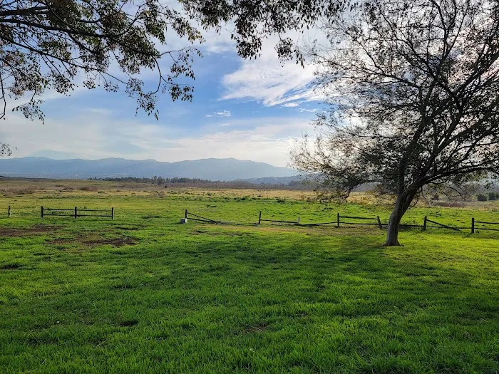 Prado RV Park Picture 10