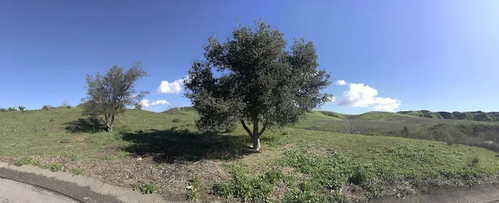 Rolling M Ranch Campground Picture 8