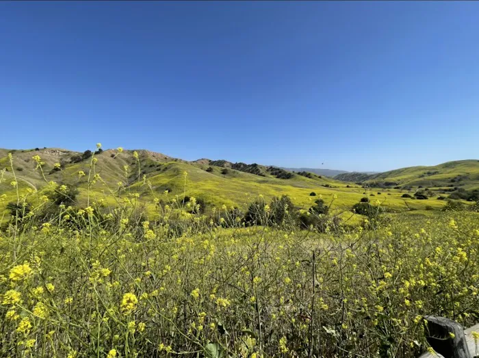 Rolling M Ranch Campground Picture 1