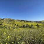 Rolling M Ranch Campground