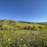 Rolling M Ranch Campground ico