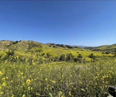 Rolling M Ranch Campground