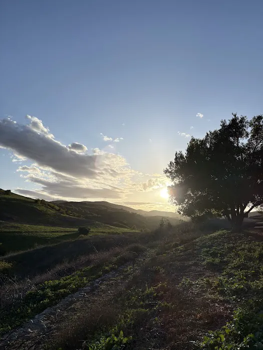 Rolling M Ranch Campground Picture 10
