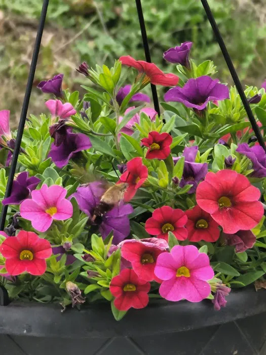 Camp Caroldale Picture 3