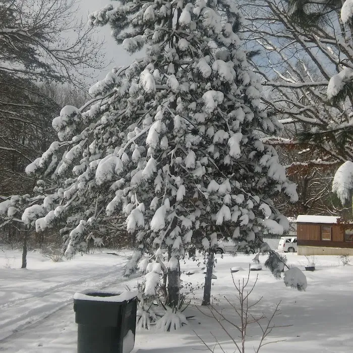 Somerset Communities Picture 6